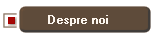 Despre noi